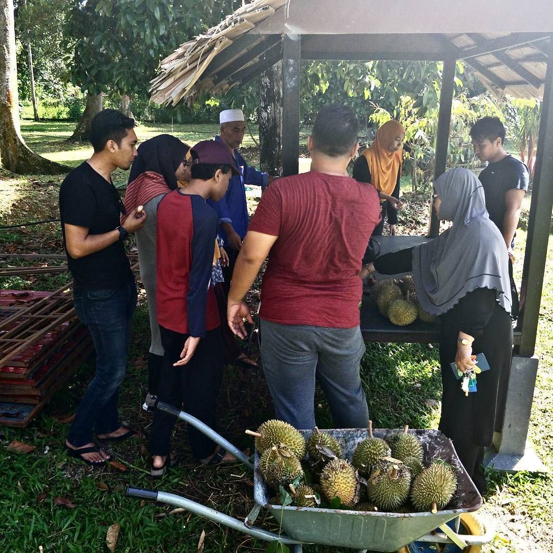 photo_2024-07-12_20-43-20
