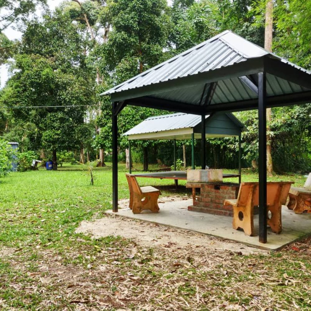 photo_2021-03-25_08-40-51