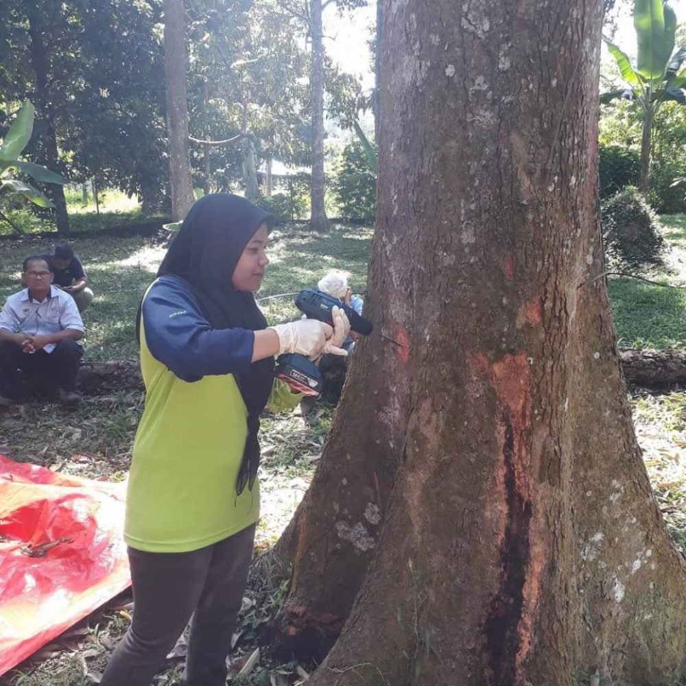 photo_2023-09-10_15-31-49